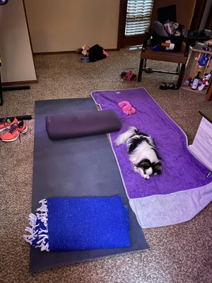 Photo of Free Spirit Yoga Studio & Meditation Sanctuary, oklahoma city, USA