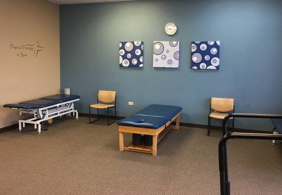 Photo of Physical Therapy & Spine - Tinley Park, orland park il, USA